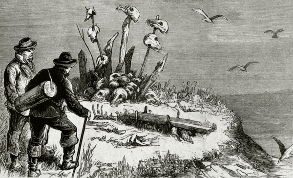 Swedish expedition to Arctic Pole
