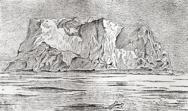 A floating iceberg