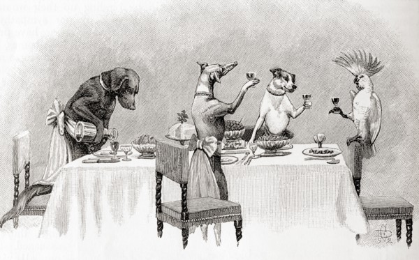 Three dogs and a cockatoo having a dinner party