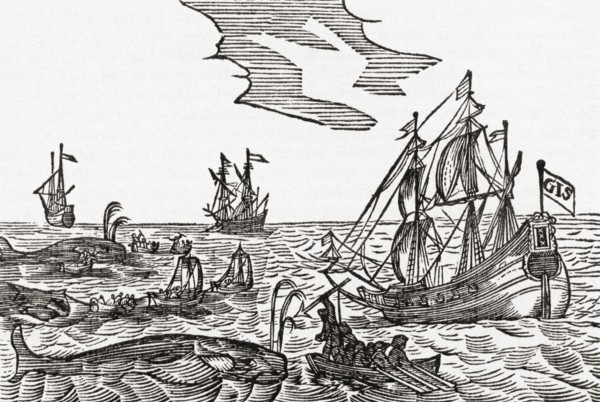 Whaling