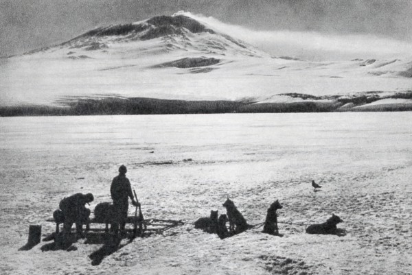 Dog sledge, showing Mount Erebus in the background,,