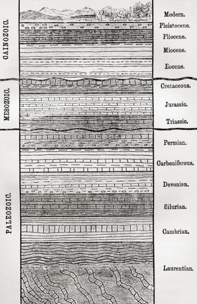 A chart of strata, layers of sedimentary rock or soil,,