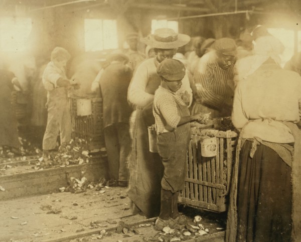 African American Boy works as an Oyster Shucker
