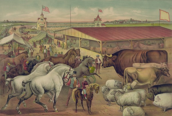 Sights at the Fair Grounds