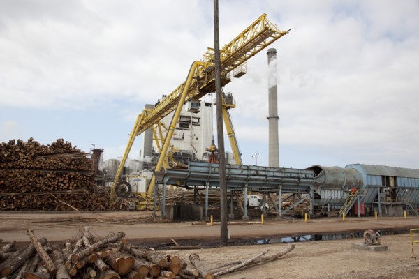 Crane Hoist Logs at Pulp Factory