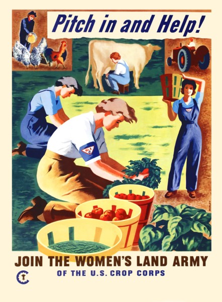 Pitch in and Help!