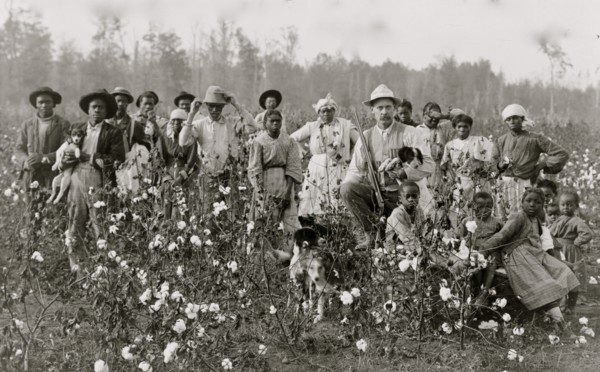 The cotton planter and his pickers