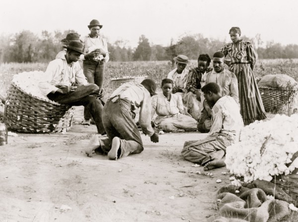 African Americans resting and shooting dice at edge of cotton field
