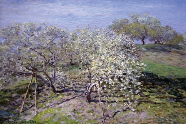 Spring Fruit Tees in Bloom