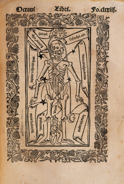Practica Compendiosa Artis Raymundi Lulli, book eighth.