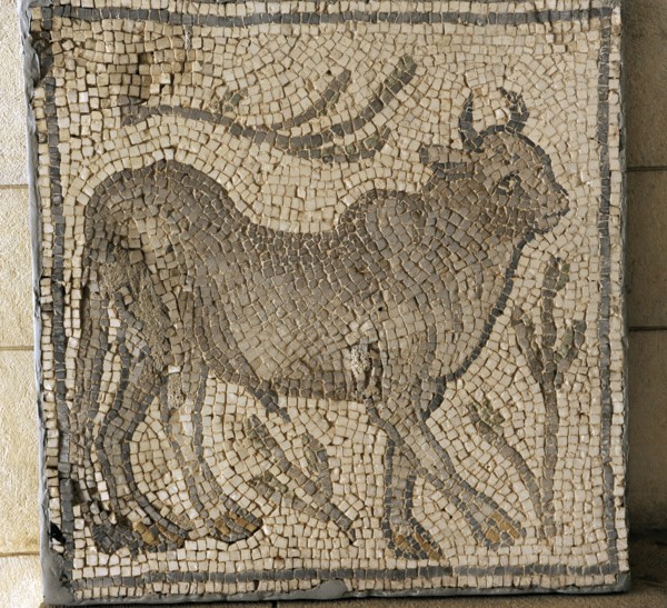 Mosaic, Beit Guvrin.