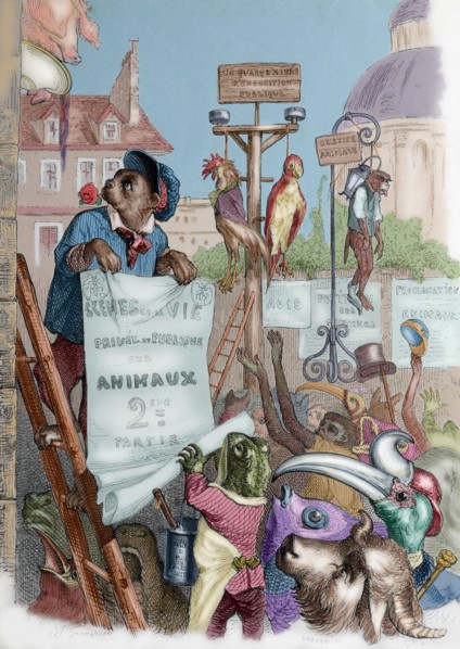 The private and public life of animals.