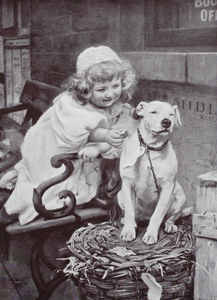 little girl gives the domestic dog a biscuit