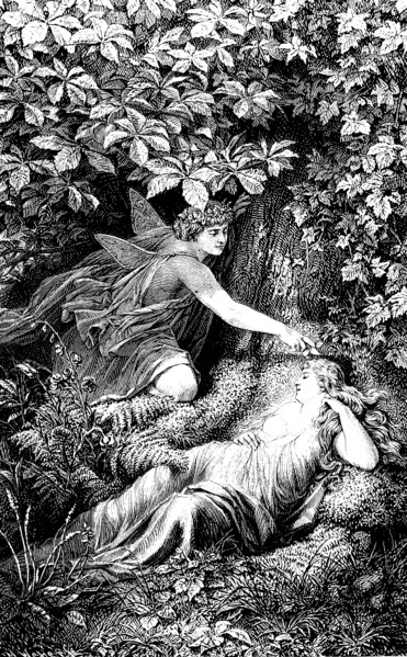 a scene from A Midsummer Night's Dream