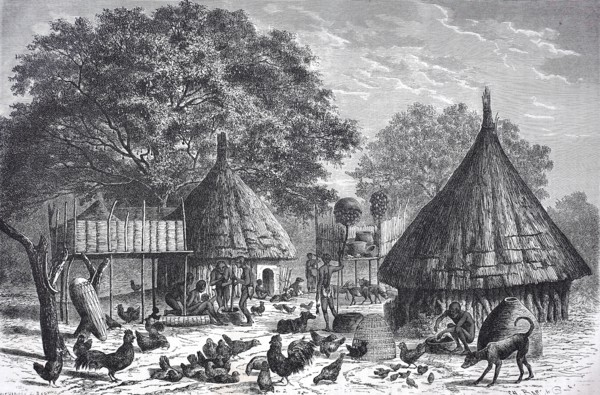 Village of the Diour tribe
