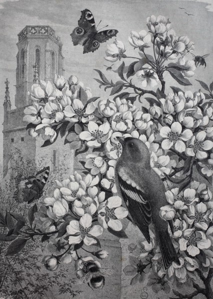 symbolic images for spring