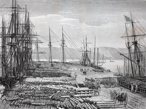 Hafen mit gelagertem Holz