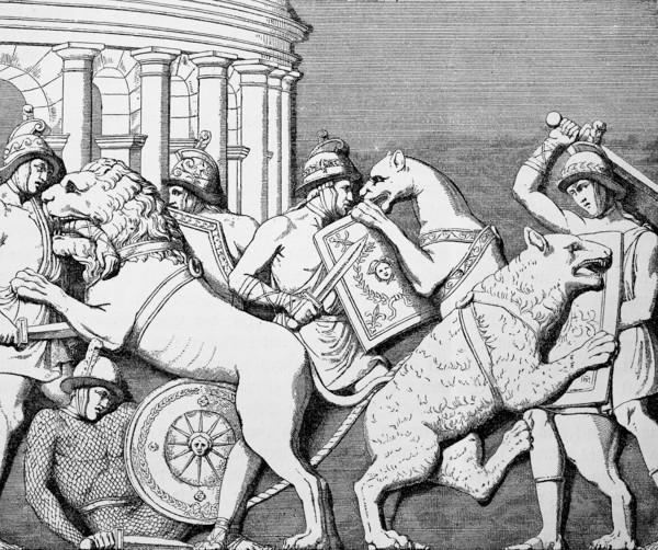 Animal fights of the gladiators in the circus in the theatre of Marcellus