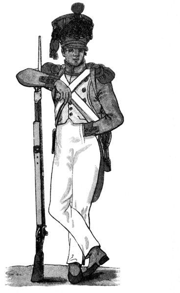 Soldier of the French line under Napoleon