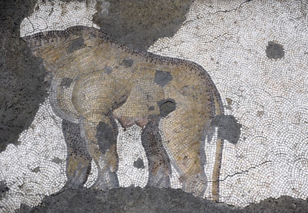 Great Palace of Constantinople, Lioness and cubs