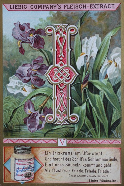 picture series plants and poems