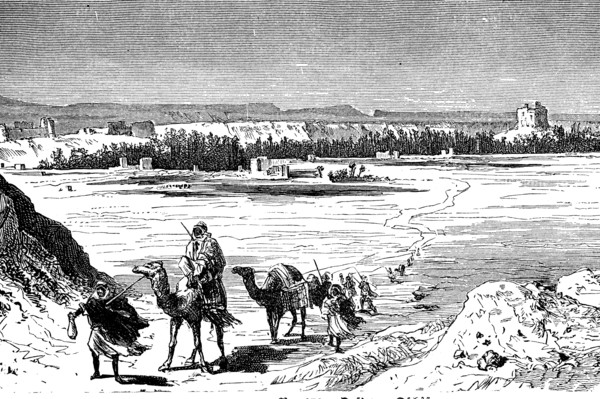 Camel caravan in the Arabian desert