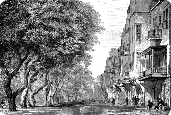 Esbekieh square with acacias in Cairo
