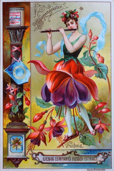 Photos Series women as flowers