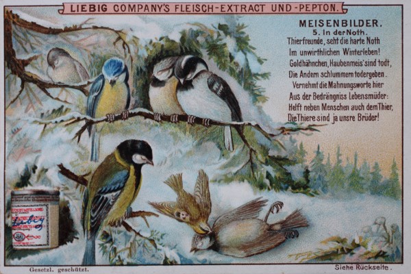 Series tit pictures