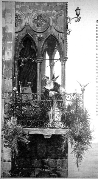 Pigeon greeting
