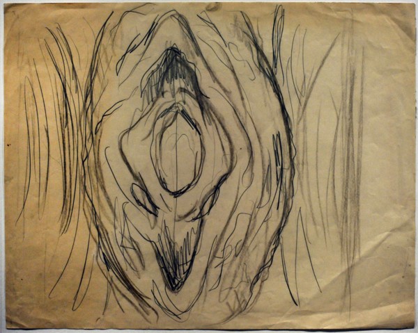 Sketch of a Vulva