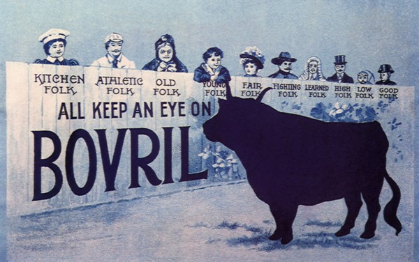 Spectators Watch Bull