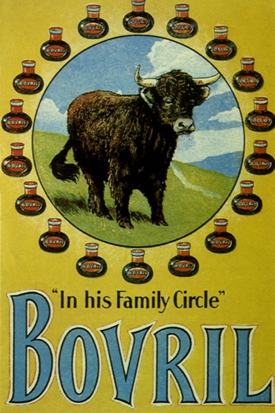 Shaggy Steer