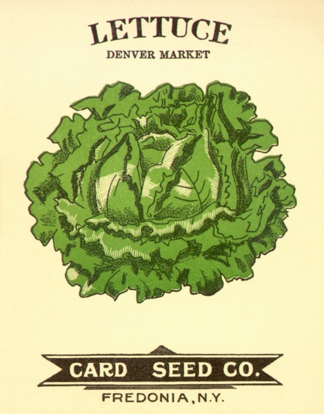 Lettuce Seed Packet
