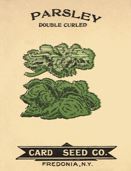 Parsley Seed Packet