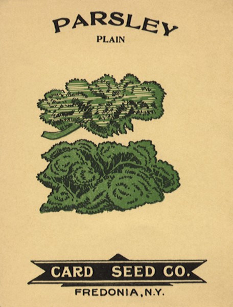 Parsley Seed Packet
