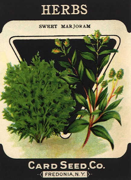 Herbs Seed Packet