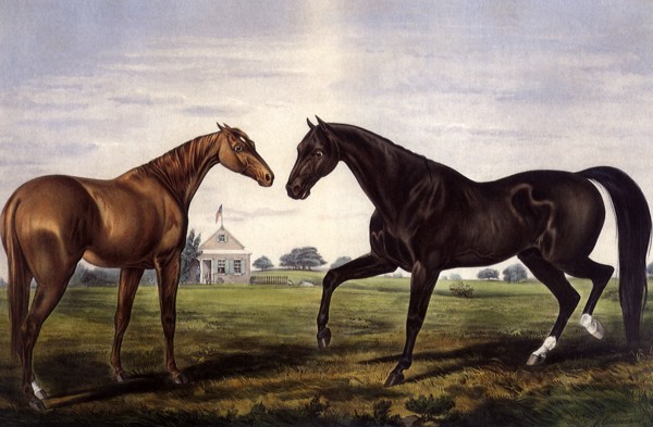 American Trotting Stud: Hambletonian & Widow McChree