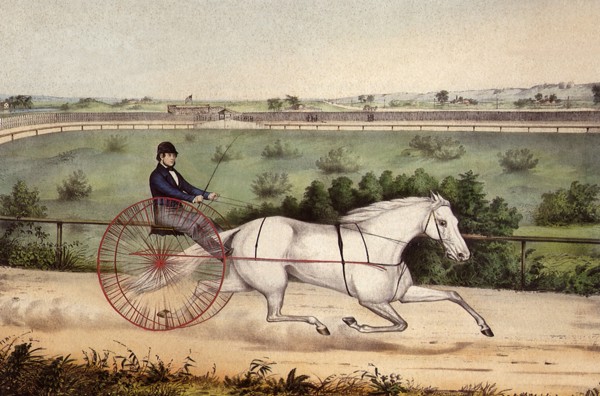 Lady Suffolk