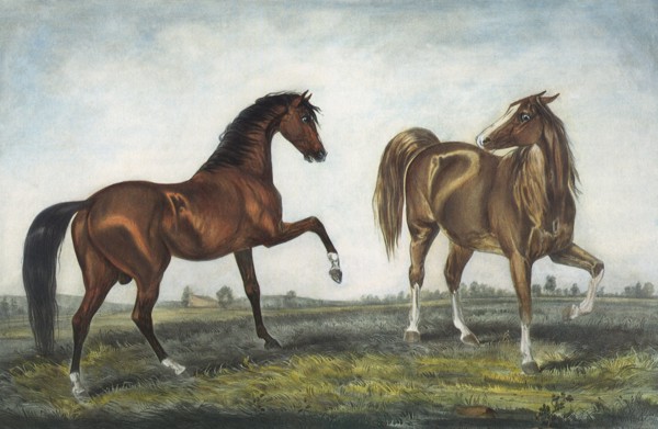 The American Trotting Stud