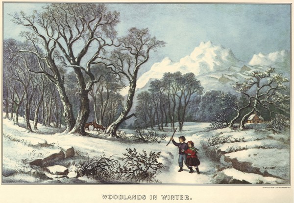 Woods in Winter