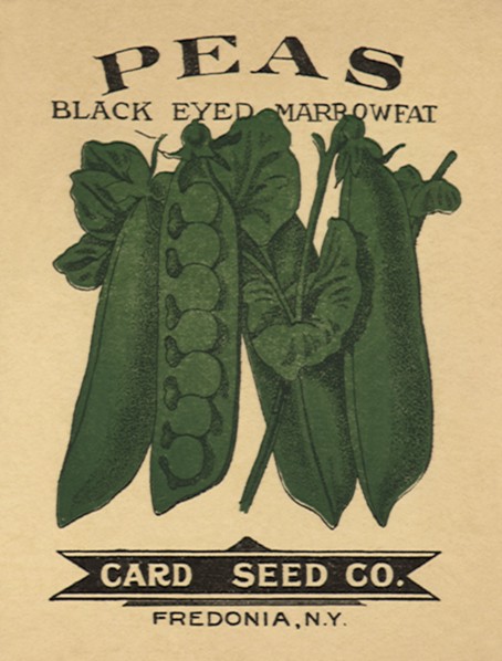 Peas Seed Packet