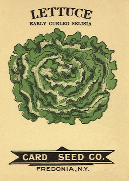 Lettuce Seed Packet.