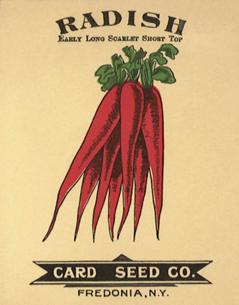 Radish Seed Packet