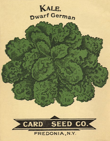 Kale Seed Packet