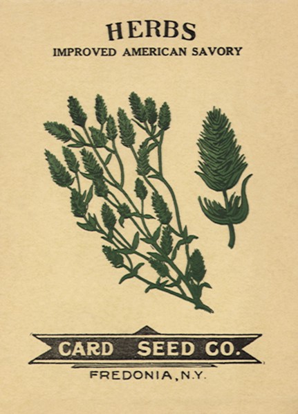 Savory Seed Packet