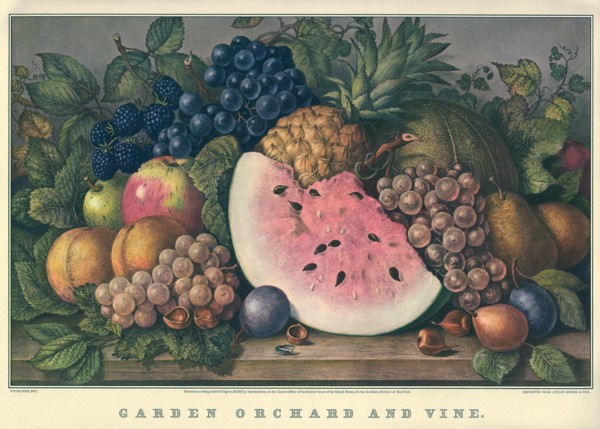 Garden Orchard And Vine