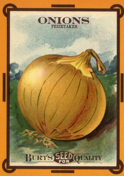 Onion Seed Packet