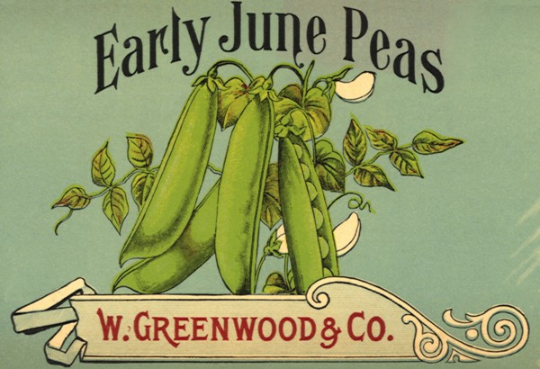 Peas in Pods Label
