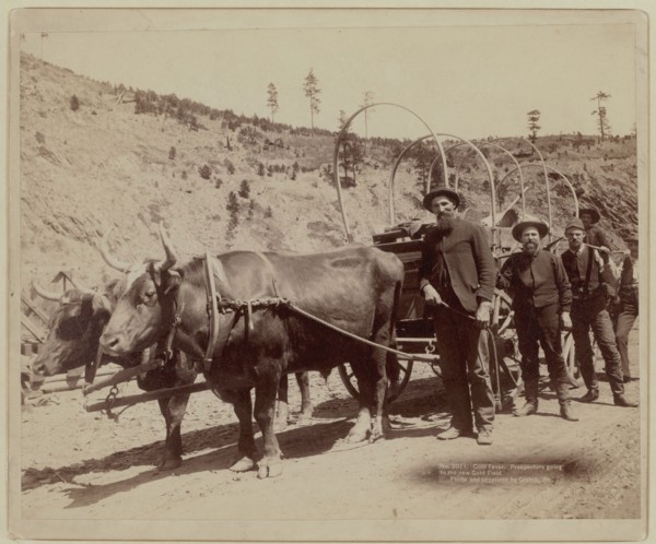 1889 - Prospectors going to the gold fields.